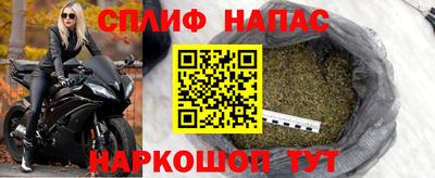 прущие грибы Заводоуковск