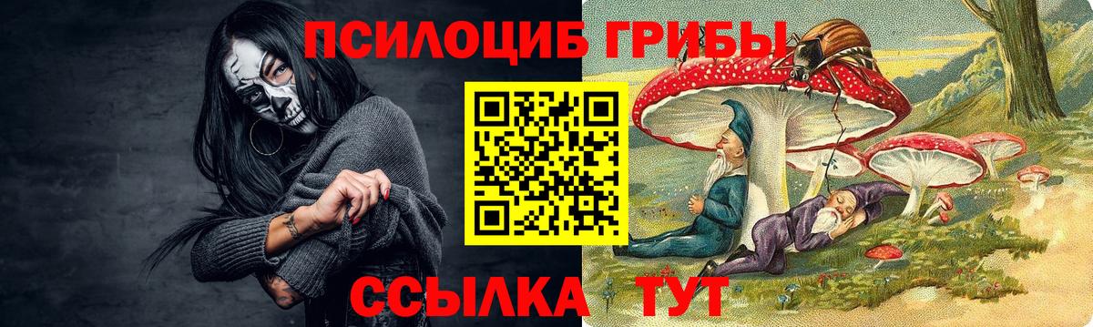 Новочебоксарск  Галлюциногенные грибы Psilocybe  Вход с VPN 